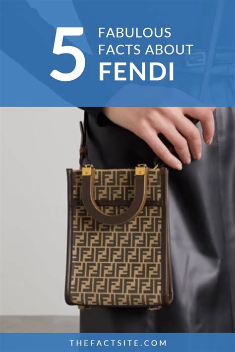 fendi history information|who made fendi.